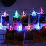 Star Card Photo Clip Led